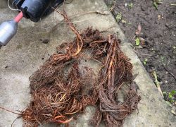 Débouchage de Canalisations